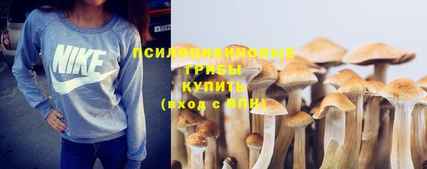 метадон Рославль