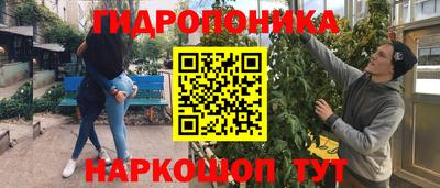 прущие грибы Нарткала