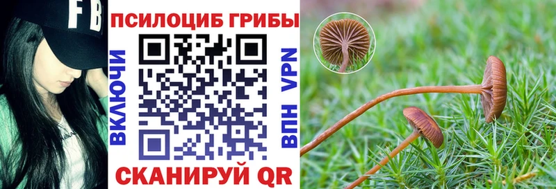 Псилоцибиновые грибы Magic Shrooms  Отрадное 