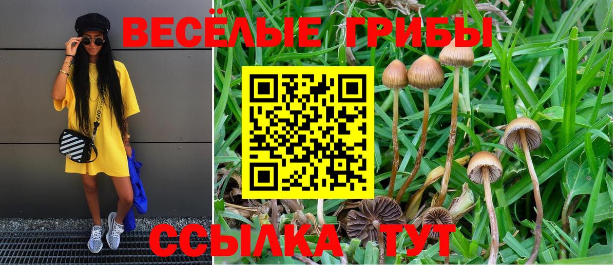Галлюциногенные грибы Cubensis  Вход с VPN  Отрадное 